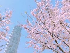 -静安雕塑公园
