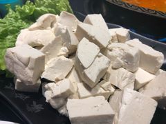 豆腐-蒙古大营羊蝎子火锅烧烤(安东巷店)