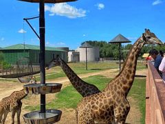 -鄂尔多斯野生动物园