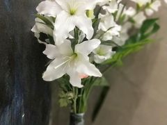 -SAH健身私教工作室(紫东店)