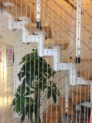 -净妍美肌专业净毛嫩肤连锁机构