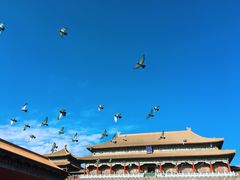 -吴记百姓菜馆·北京菜·烤鸭(故宫店)