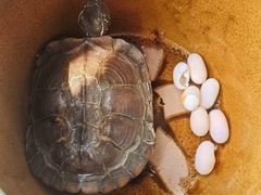 -半盆菜酒家(中山南一路店)