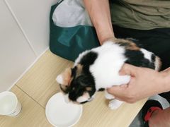 -美联众合爱康动物医院•复杂内科•肿瘤科•牙科•腔镜诊疗中心