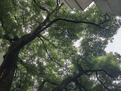 -湖北美术学院(昙华林校区)