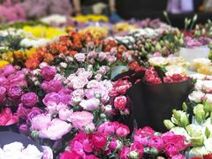 -双季花艺园艺市场(浦东店)