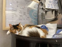 -玫瑰咖啡(中山六路店)