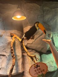 -Zoolung Zoolung动物主题公园(海信广场店)