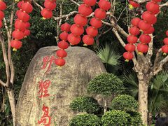 -野狸岛