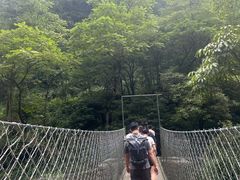 -西岭雪山大飞水景区