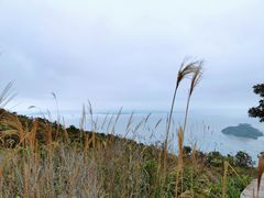 -南澳岛打卡果汁冰公司