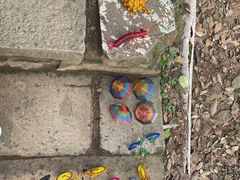 -杭州半山国家森林公园