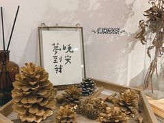 -猫里有甜