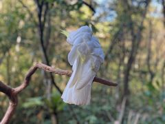 -普洱太阳河森林公园