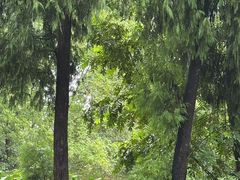 -中国天府农业博览园