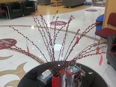 -雅悦齿科(顾村公园店)