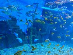 -泉城欧乐堡海洋极地世界