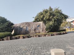 -长广溪湿地公园
