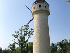 -东平国家森林公园