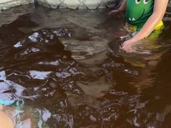 -碧水湾温泉
