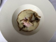 -蝶舍·MAISON PAPILLON