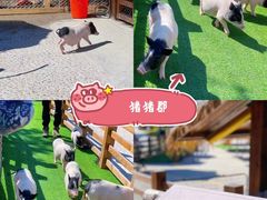 -珠海海泉湾神秘岛亲子乐园