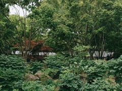 -秋霞圃