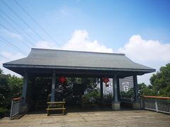 -金鸡山公园