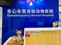 -全心全意连锁动物医院·特色中医诊疗(会城门分院)