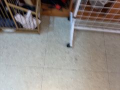 -鹅香四海·卤水火锅·砂锅粥·潮汕菜(宝安店)