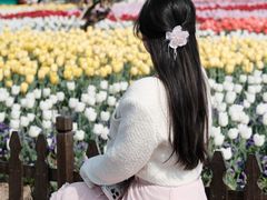 -荷兰花海