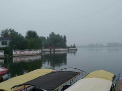 -白洋淀景区