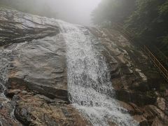 -青峰峡国家森林公园