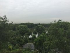 -白洋淀景区