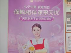 -天鹅到家·保姆月嫂育儿嫂(南开店)
