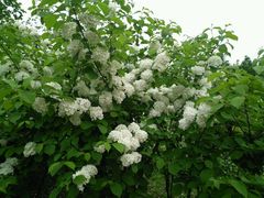 -白塘生态植物园