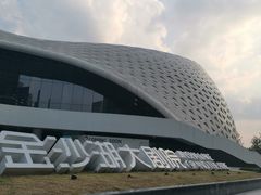 -金沙湖公园