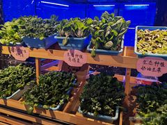 -醉霖生态餐厅(交大店)