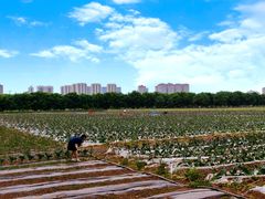 -汉长安城未央宫国家考古遗址公园