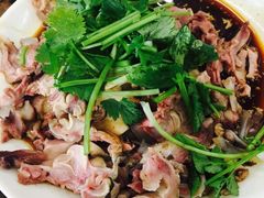 羊脆骨-春雨羊汤店(广开四马路总店)