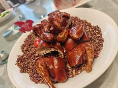 大红袍乳鸽王-朱记乳鸽王·非遗石岐乳鸽·全鸽宴(大兴旗舰店)