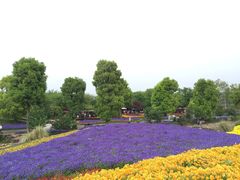 -南通洲际绿博园