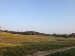 -大连铭湖国际观光牧场
