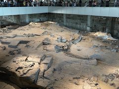 -自贡恐龙博物馆