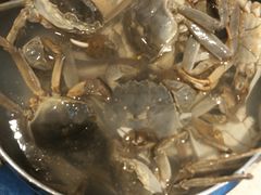 河蟹-万象·复兴号鲜肉烤肉海鲜自助(升级店)