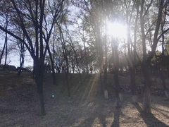 -石家庄市植物园