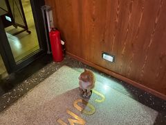 -COMMUNE幻师(花园道店)