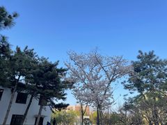 -团结湖公园