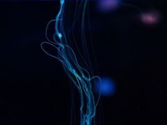 -欢乐海岸海洋奇梦馆