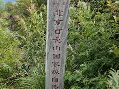 -白草畔自然风景区